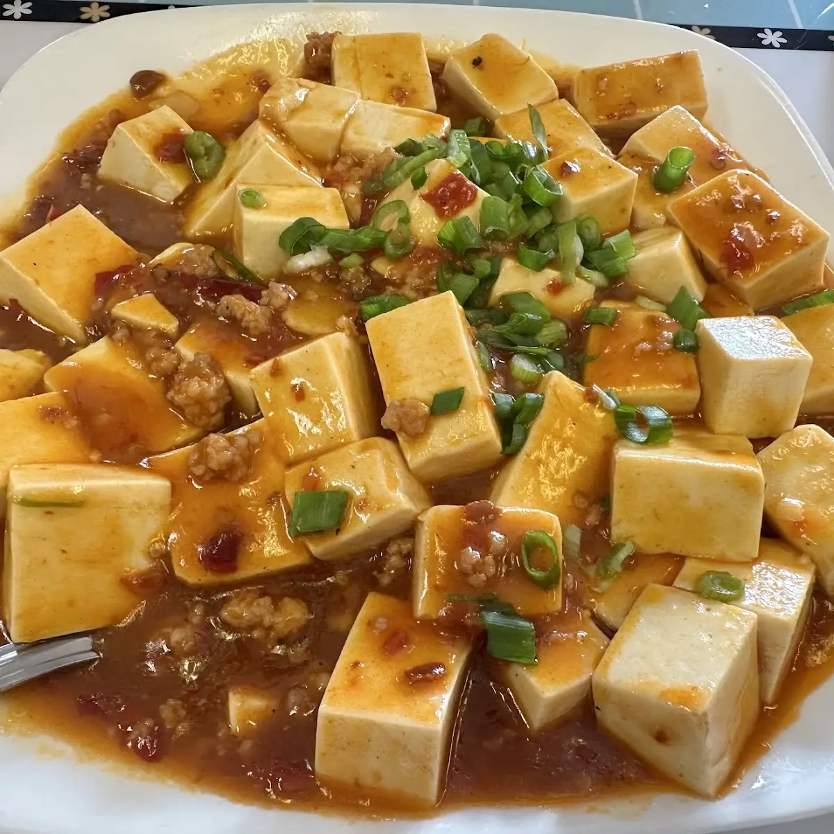 ma po tofu 麻婆豆腐